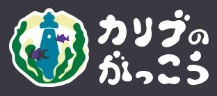 カリブの学港