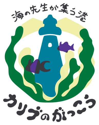 カリブの学港