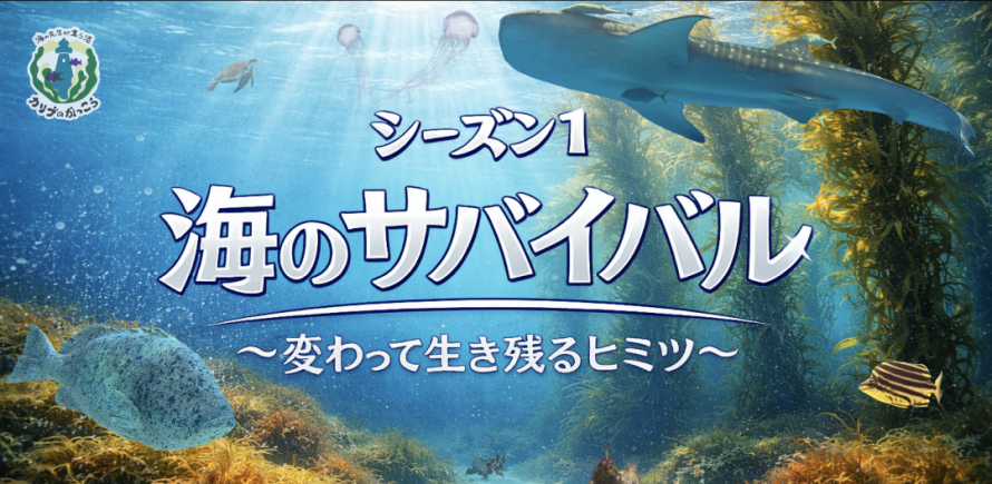 シーズン1 イメージ