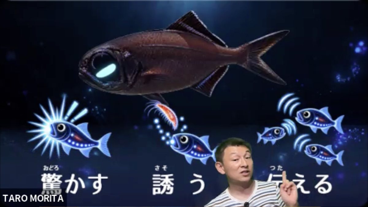 ヒカリキンメダイの発光をクイズ形式で考える授業スライド
